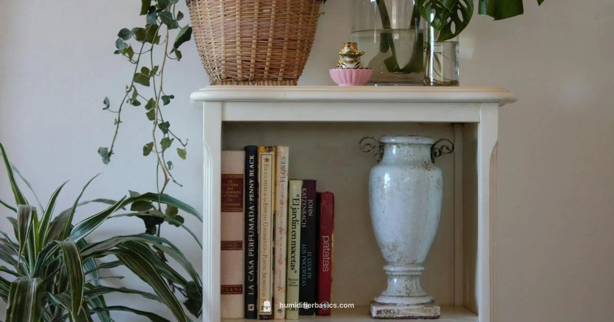 Humidifier Impact at Home - HumidifierBasics