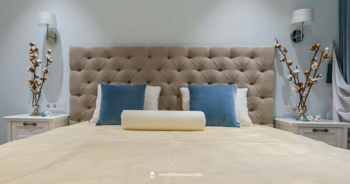 Humidifier vs Diffuser - HumidifierBasics