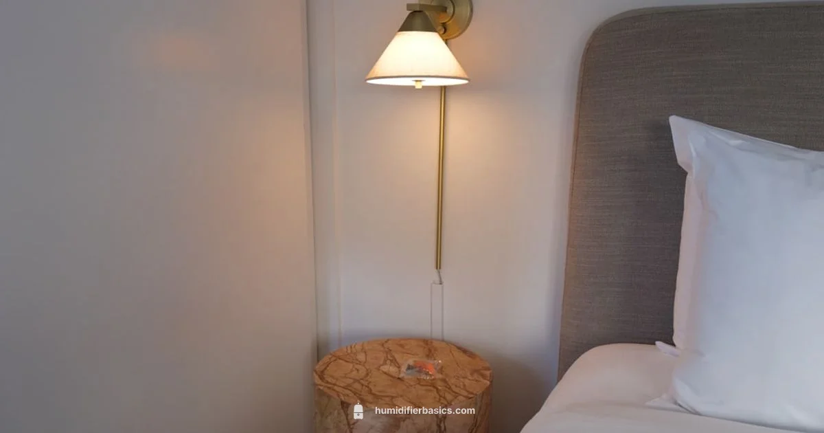 Canopy Humidifier Guide - HumidifierBasics