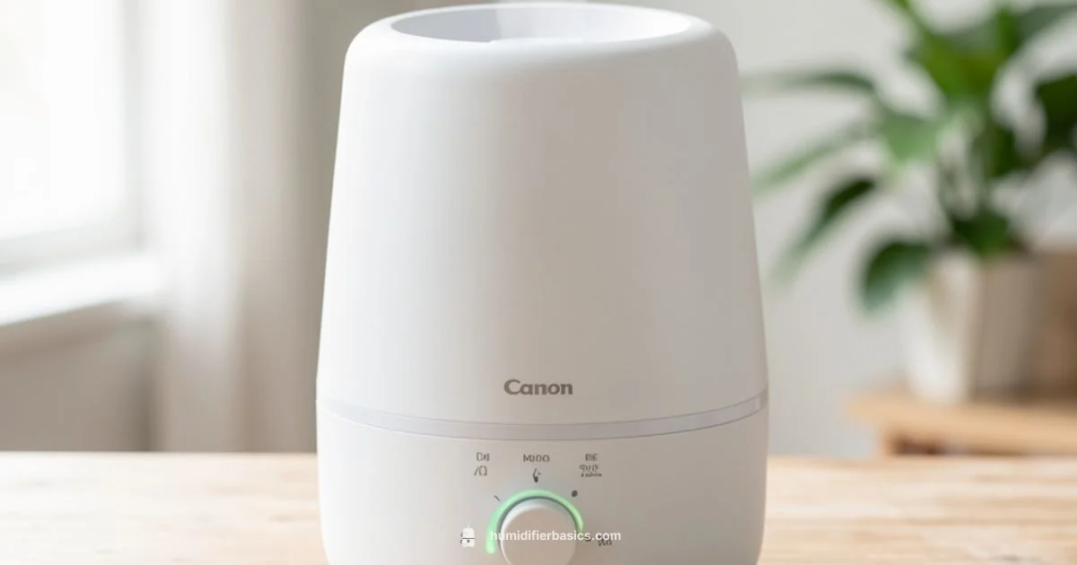 Humidifier Lung Guide - HumidifierBasics