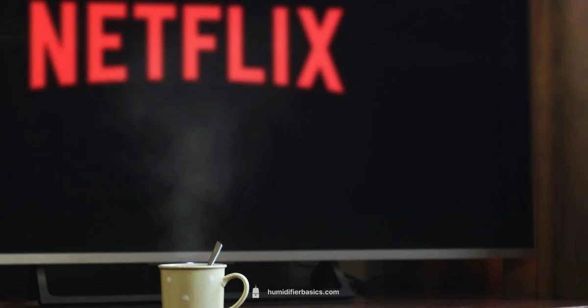 Vicks Humidifier Fix - HumidifierBasics