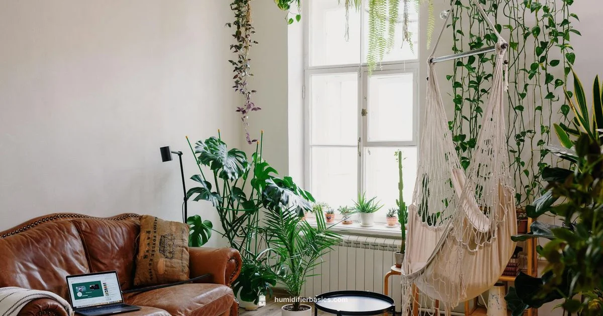 Humidifier and Asthma - HumidifierBasics