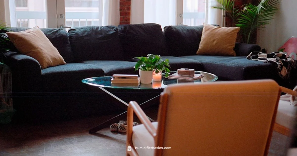 Filter Free Humidifier - HumidifierBasics