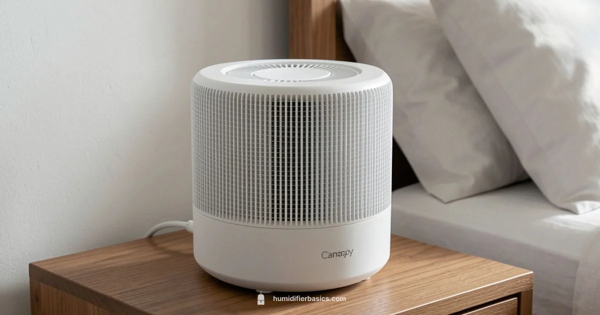 Canopy Filter Replacement - HumidifierBasics