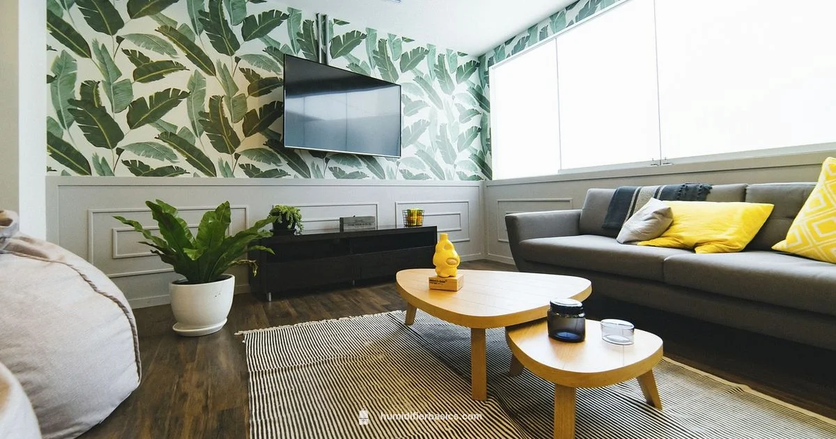 Humidity Hacks - HumidifierBasics