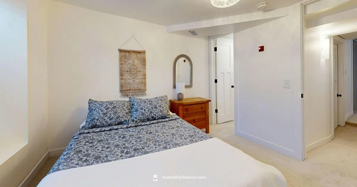 Blue Humidifier Guide - HumidifierBasics