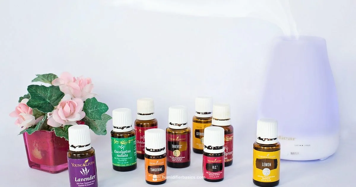 Combo Comfort - HumidifierBasics