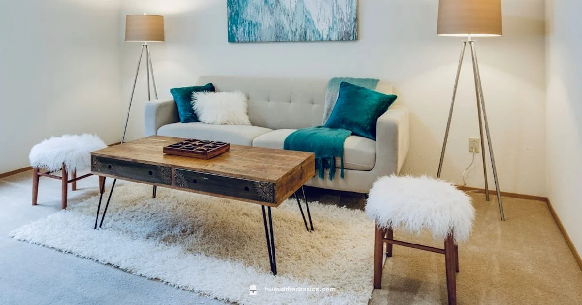 Home Humidifier Guide - HumidifierBasics