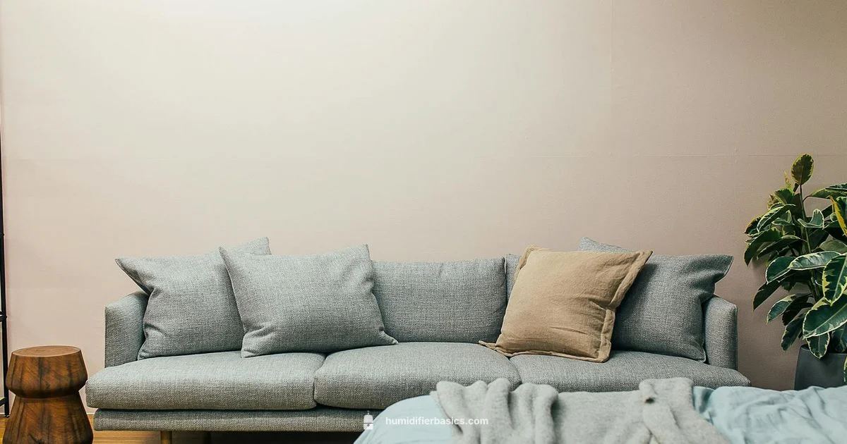 Humidifier Basics in Room - HumidifierBasics