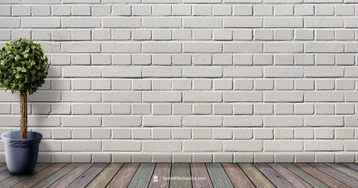 Ideal RH Guide - HumidifierBasics