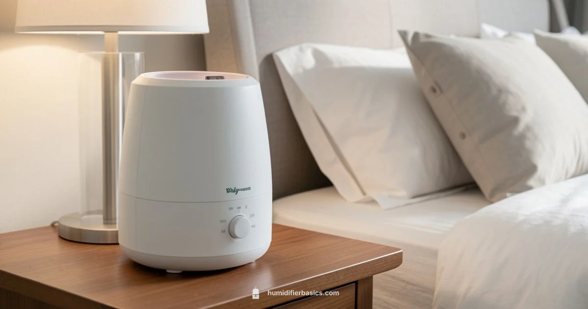 Walgreens Humidifier Guide - HumidifierBasics