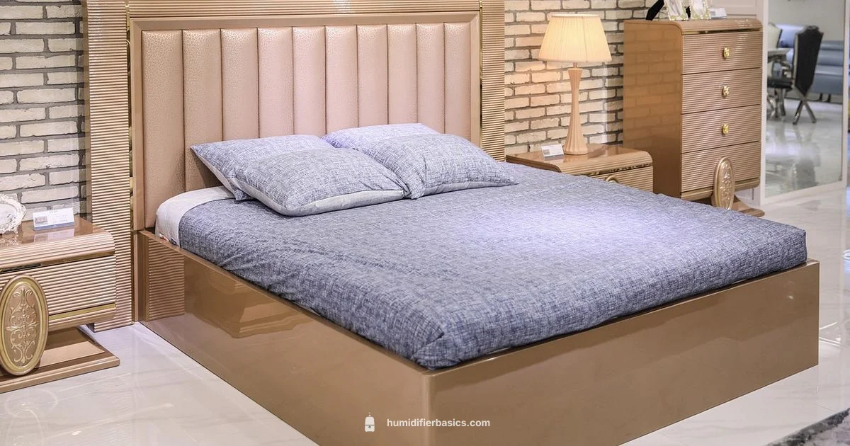 Sleep-Friendly Humidity - HumidifierBasics