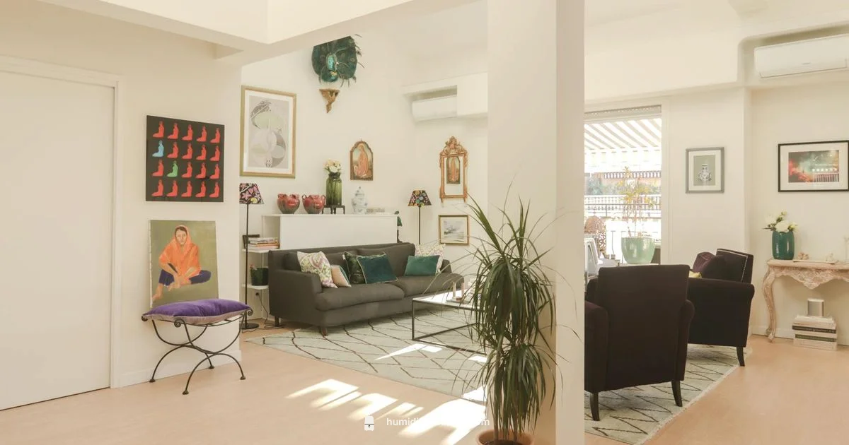 Humidity vs Air Quality - HumidifierBasics