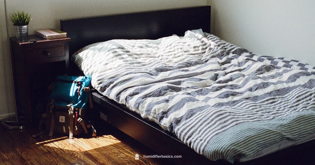 Humidifier Buying Guide - HumidifierBasics
