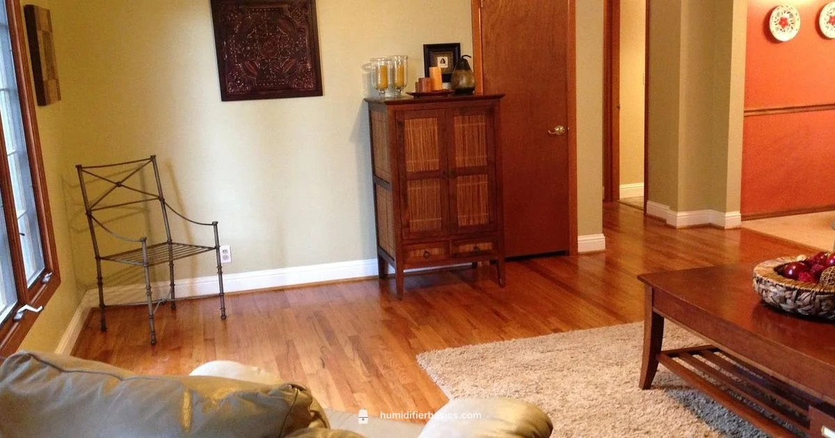 Humidifier Installed Guide - HumidifierBasics