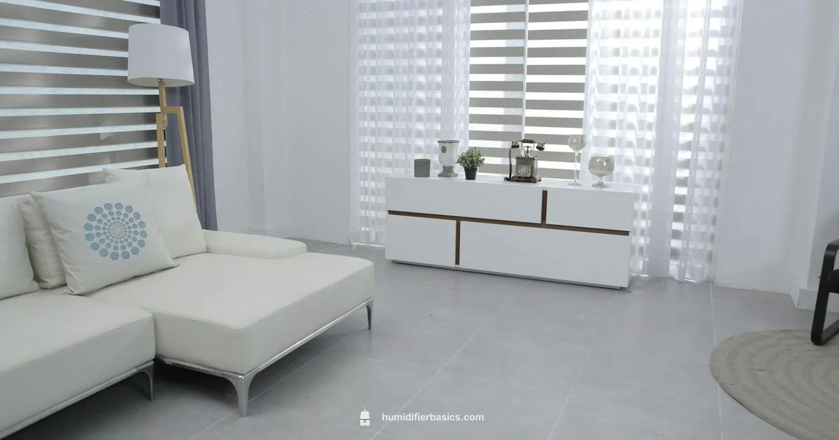 Humidifier Mold Guide - HumidifierBasics