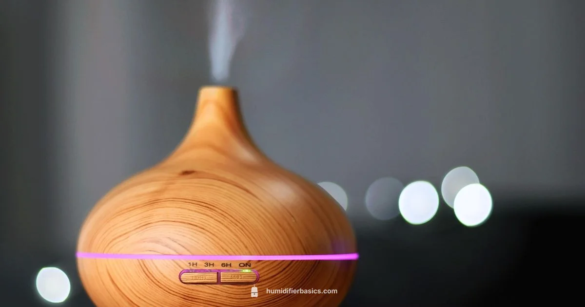 Humidifier Health Guide Humidifier Health Guide - HumidifierBasics