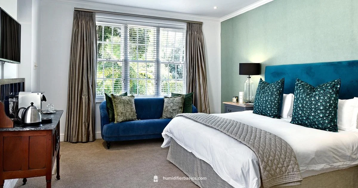 Best Humidifiers for Dry Air - HumidifierBasics