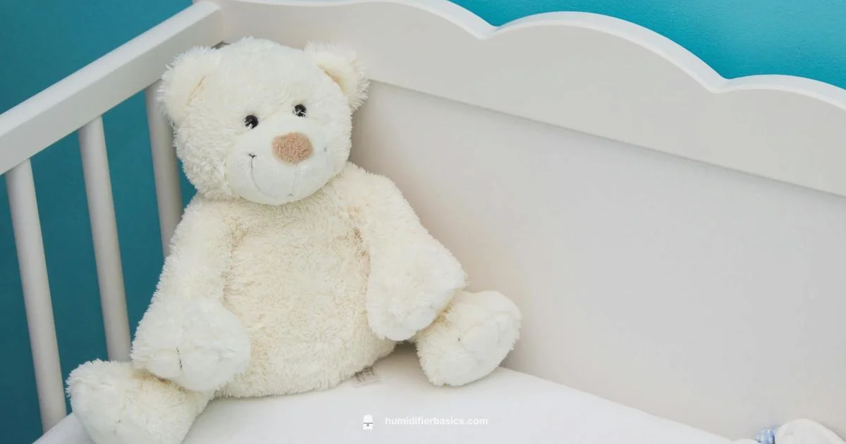 Infant Humidifier Guide - HumidifierBasics