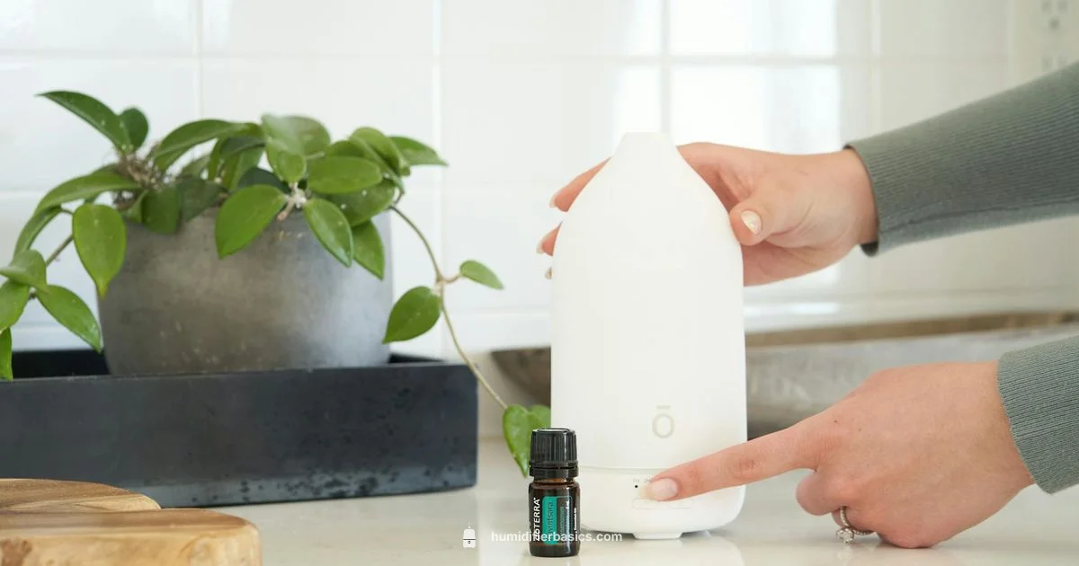 Diffuser Humidity Guide - HumidifierBasics