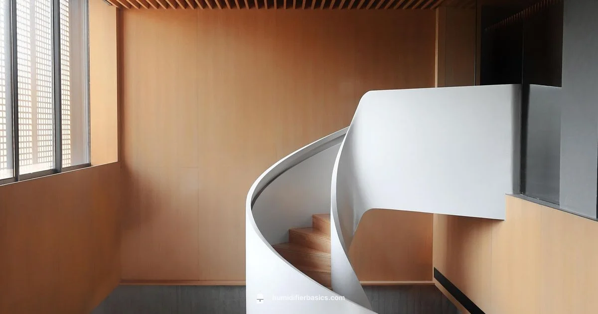 Best Rated Humidifiers 2026 - HumidifierBasics