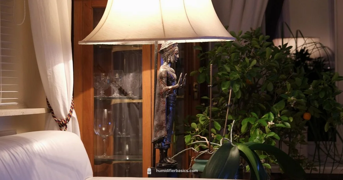 FSA Humidifier Guide - HumidifierBasics