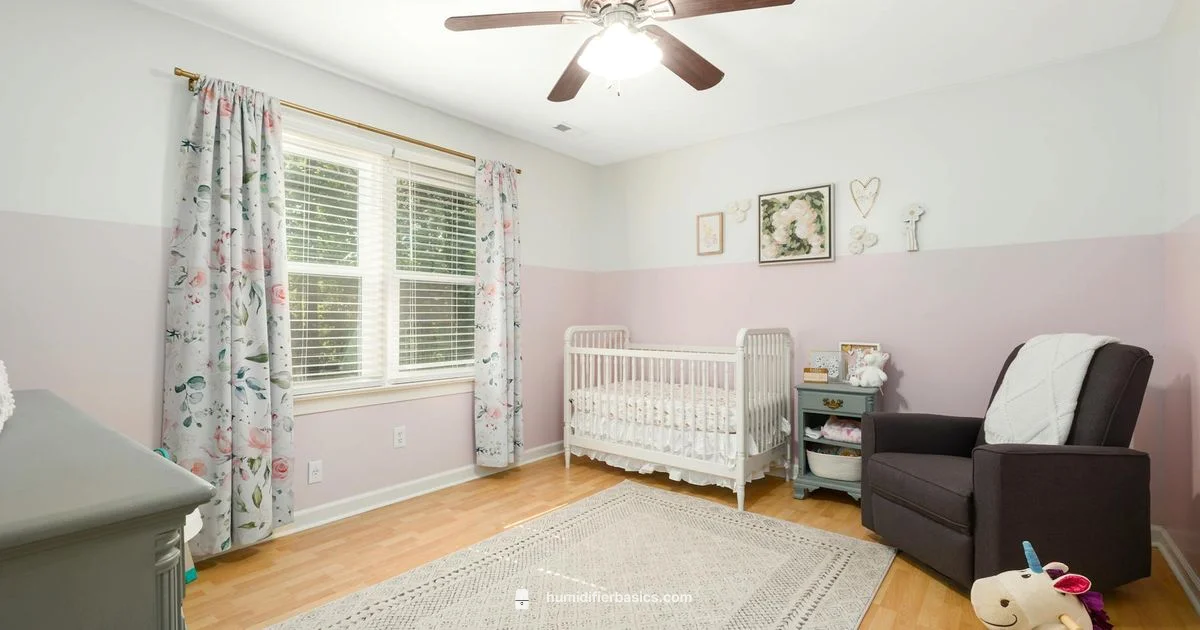 Newborn Humidifier Setup - HumidifierBasics