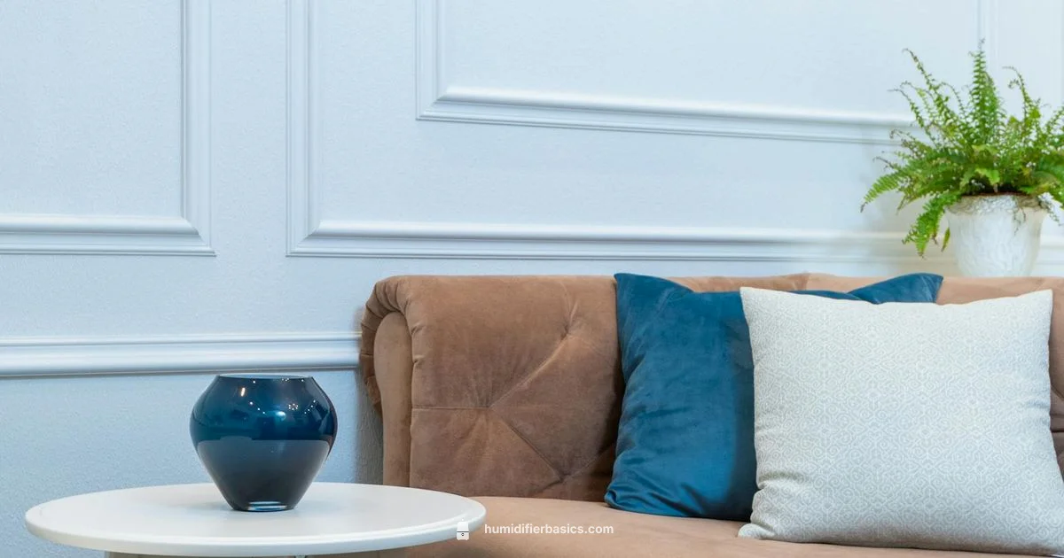 Coughing Humidity? - HumidifierBasics