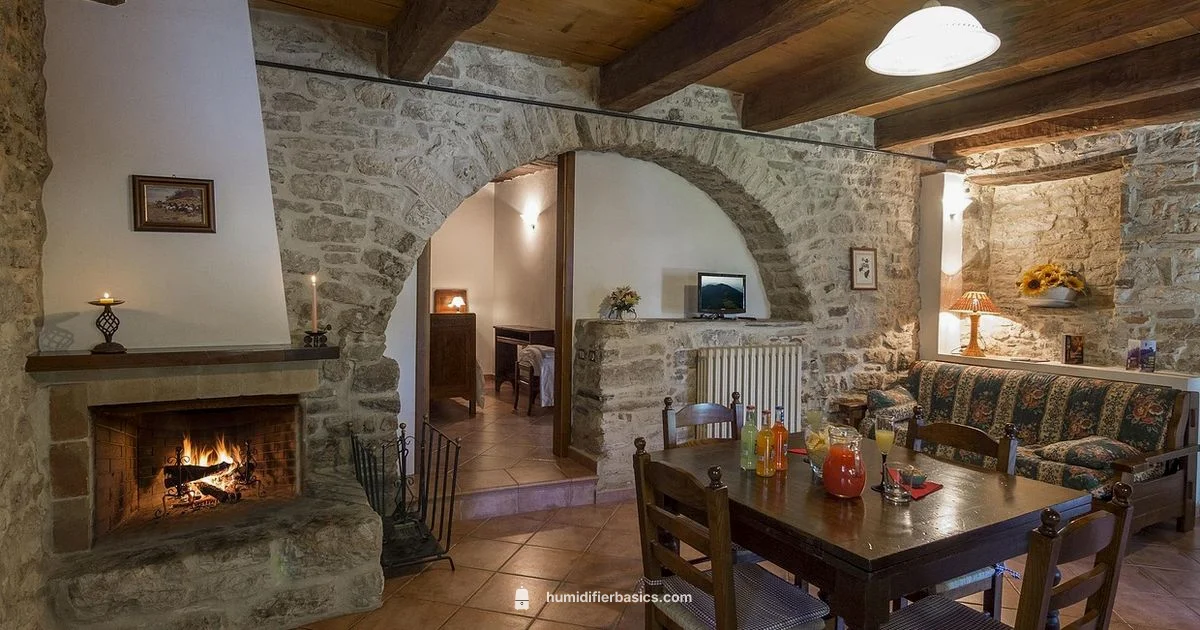 Humidifier Placement Guide - HumidifierBasics