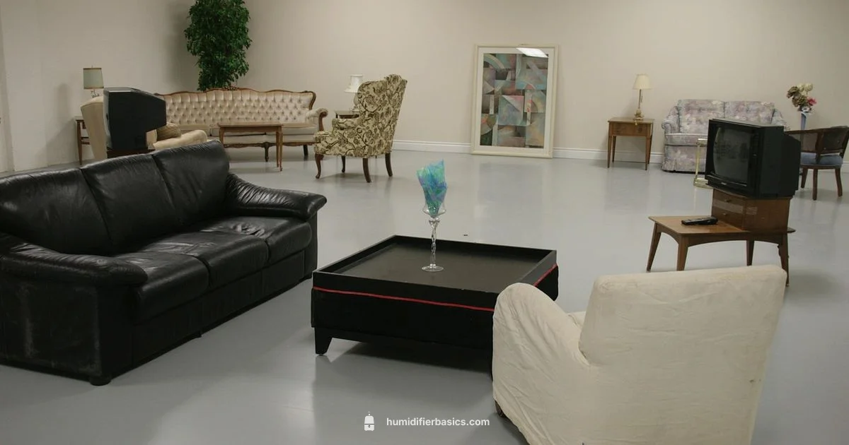 Prevent Humidifier Scaling - HumidifierBasics