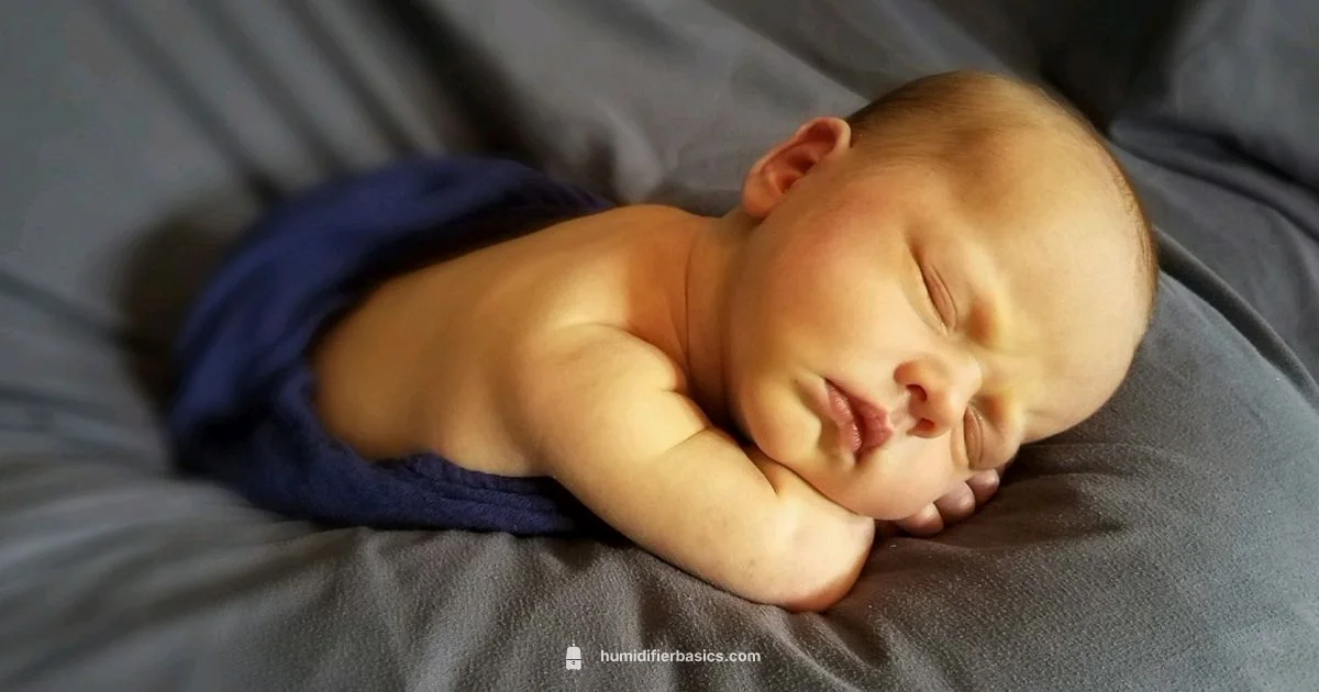 Nursery Humidifier Picks - HumidifierBasics