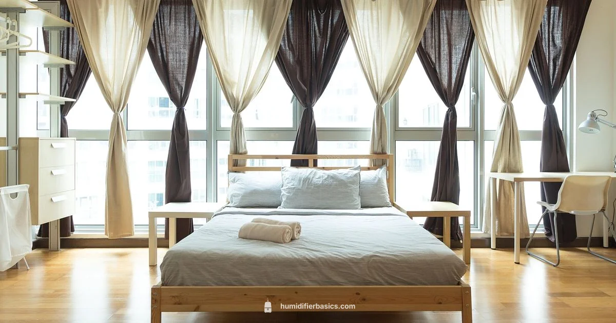 Humidifier Use Guide - HumidifierBasics