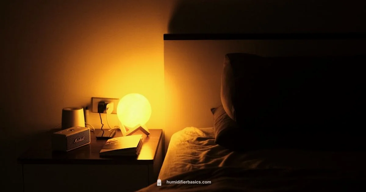 Humidifier in Room Guide - HumidifierBasics