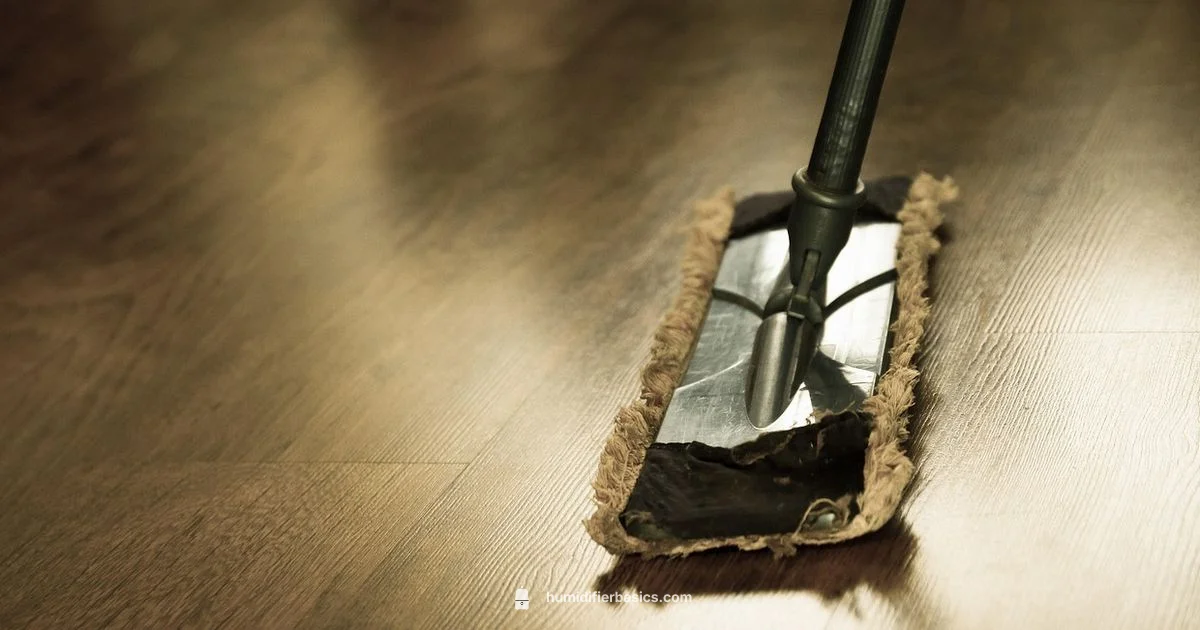 Dust-Free Humidifier - HumidifierBasics