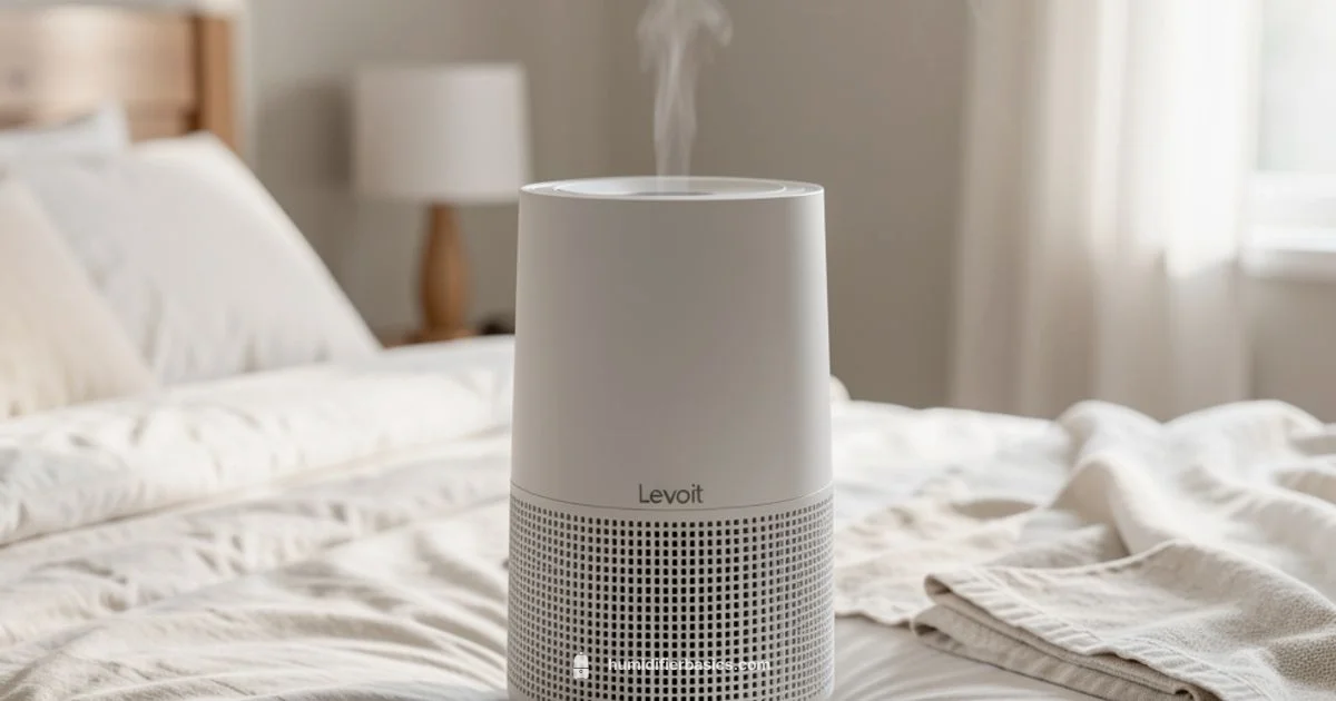 Levoit Humidifier Use - HumidifierBasics