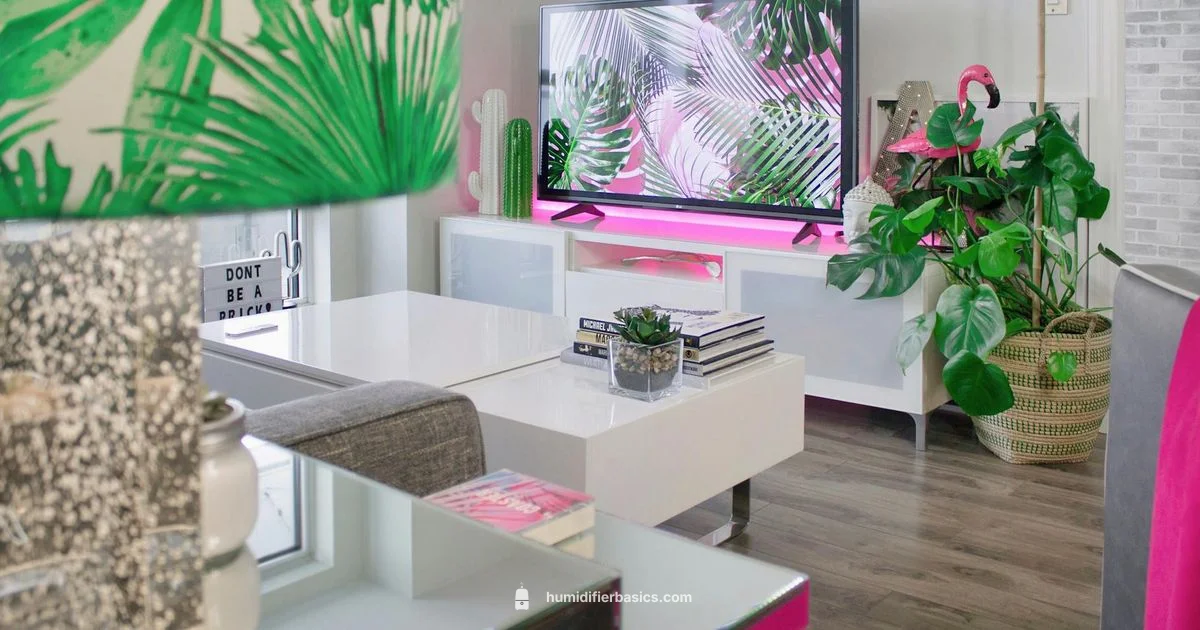 Healthy Humidity Setup - HumidifierBasics