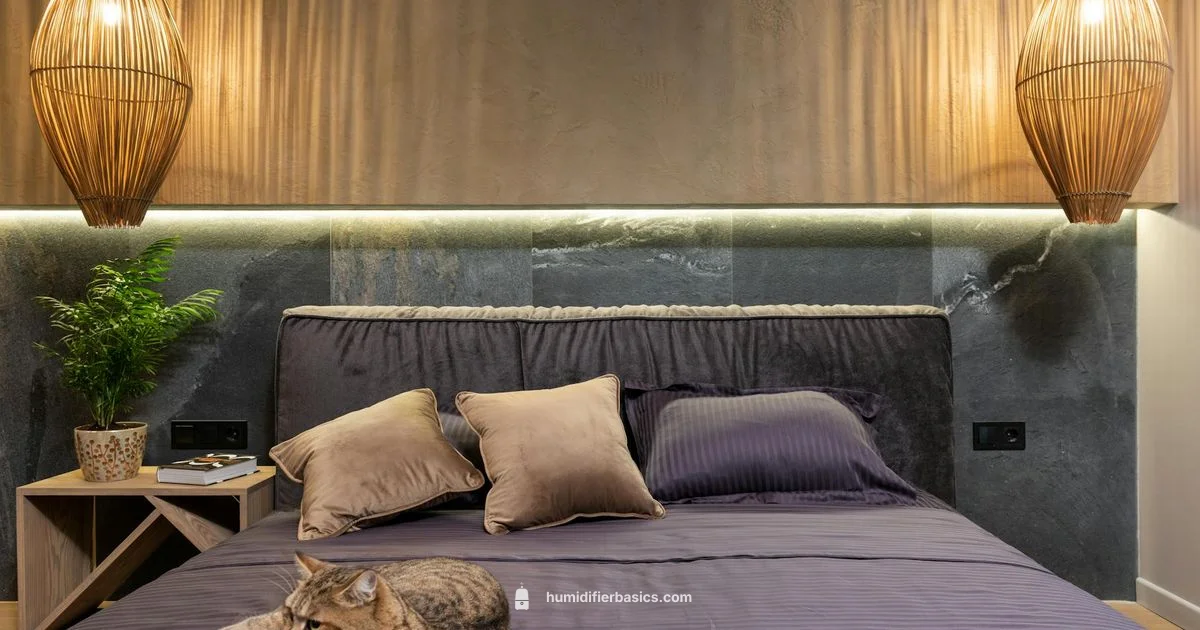 Warm vs Cool - HumidifierBasics