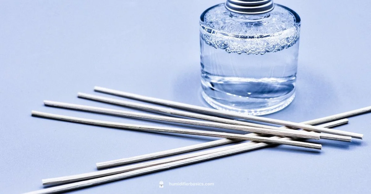Humidifier Diffuser Guide - HumidifierBasics