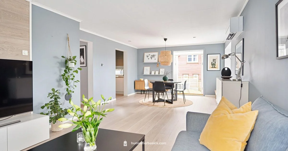 Room Humidity Setup - HumidifierBasics