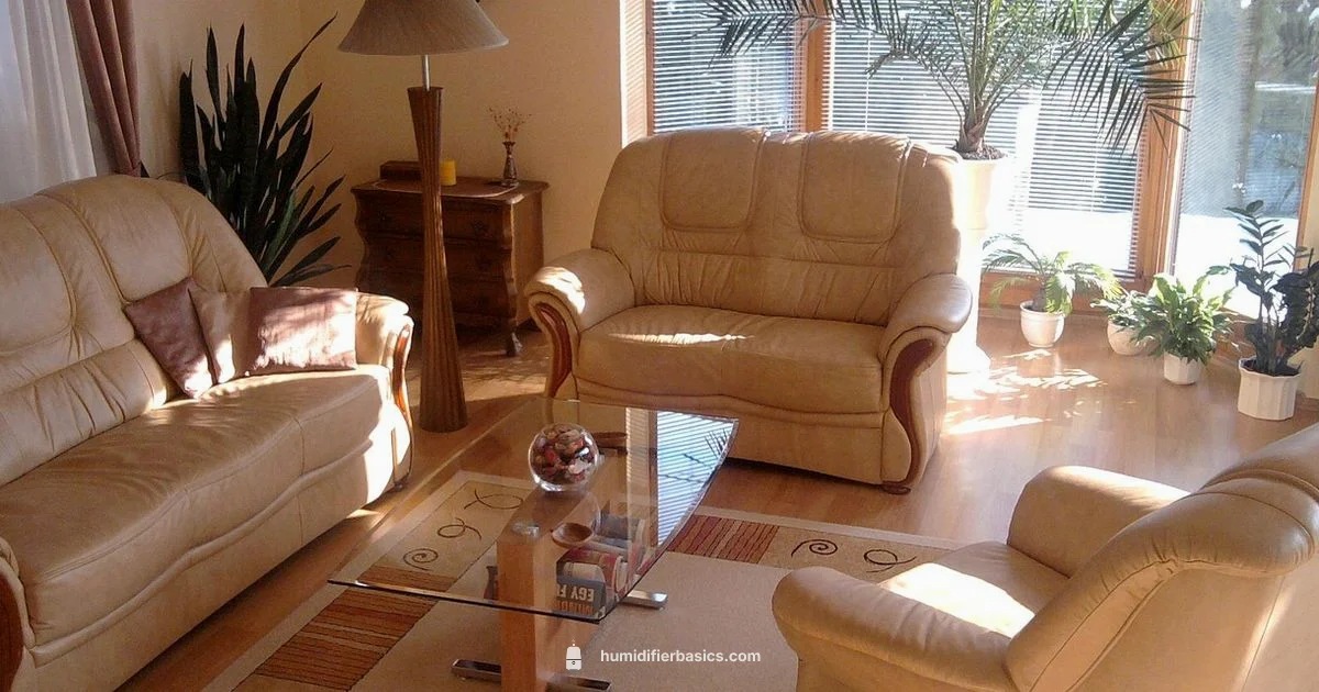 Year-round Humidity - HumidifierBasics