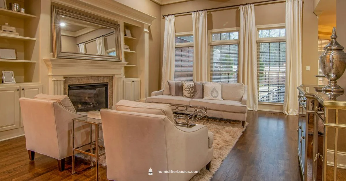 Comfort in Air - HumidifierBasics