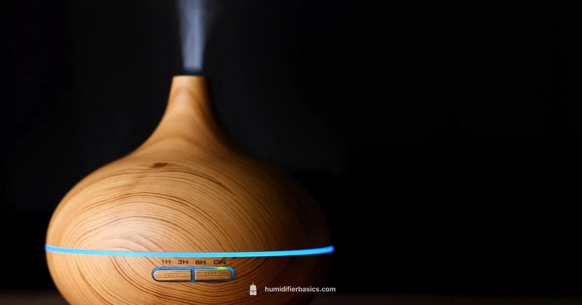 Asthma Humidity Care Asthma Humidity Care - HumidifierBasics