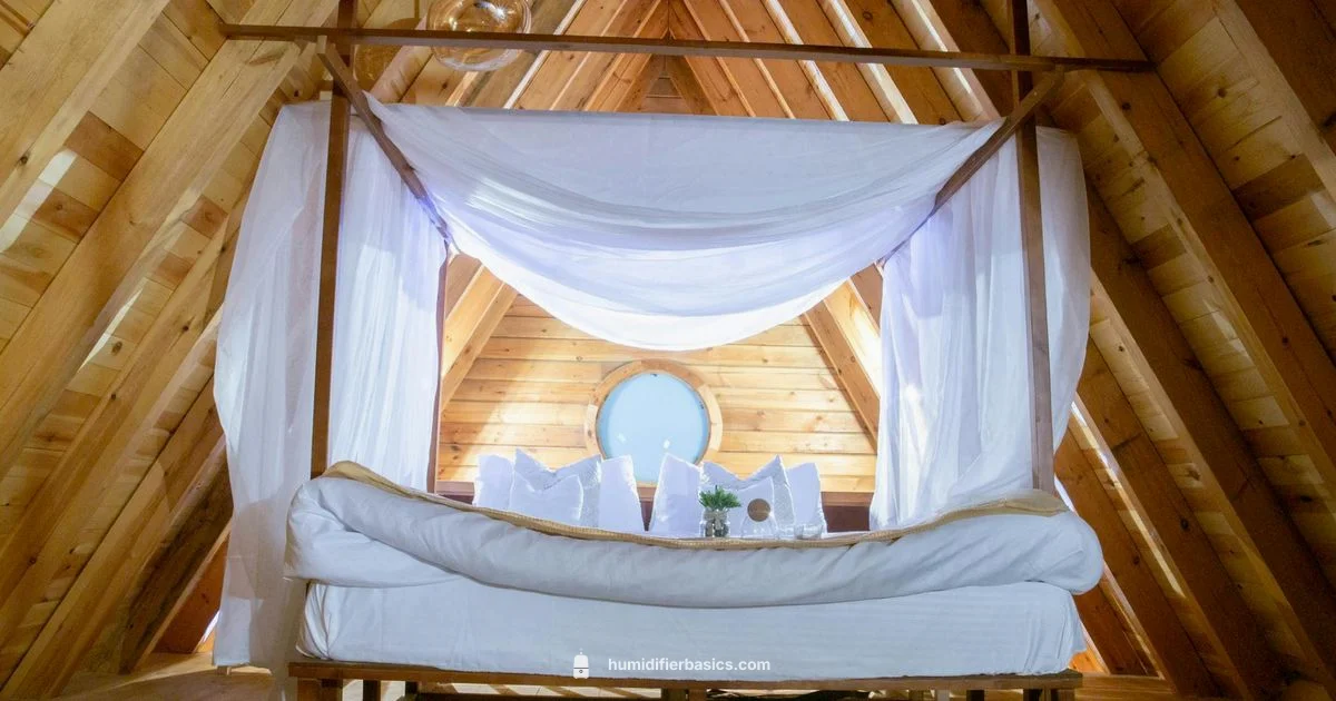 Canopy Humidifier Guide - HumidifierBasics