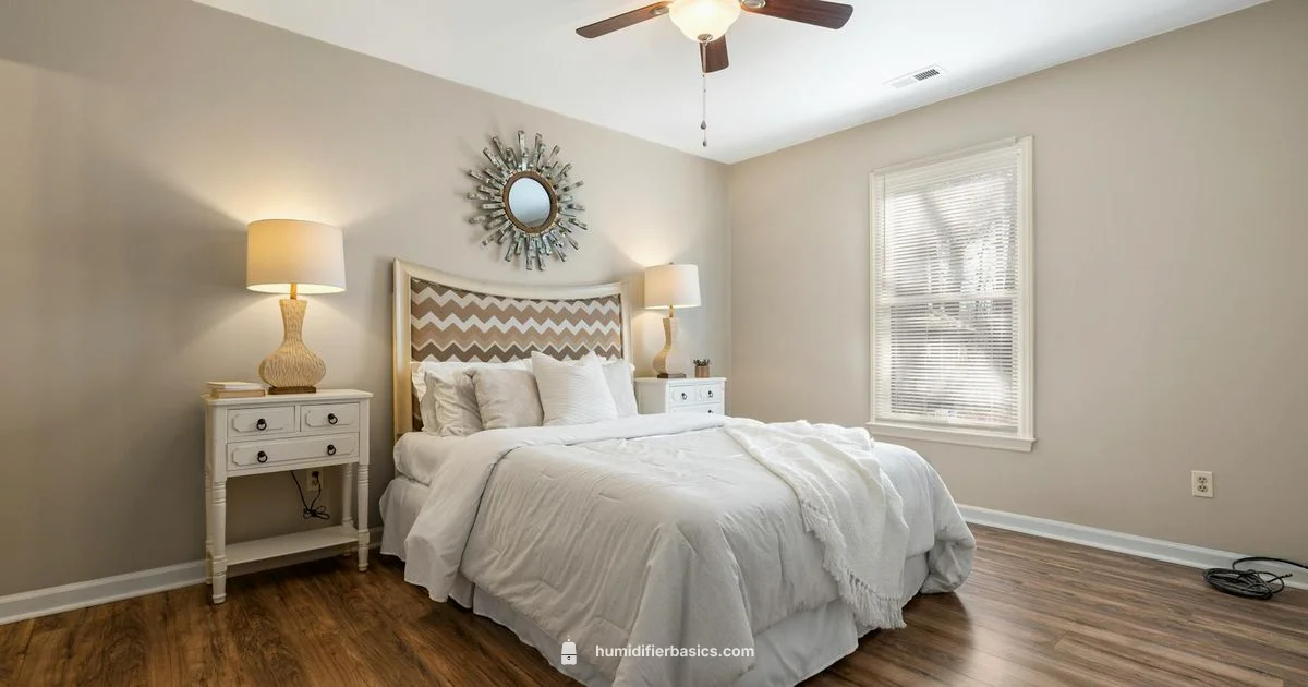 Clean Humidifier Guide - HumidifierBasics